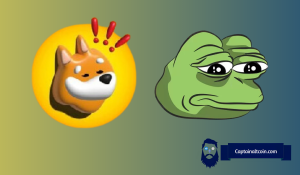 Meme Coins Surge: PEPE and BONK Show Robust Gains as Market Confidence Soars – Here’s Why