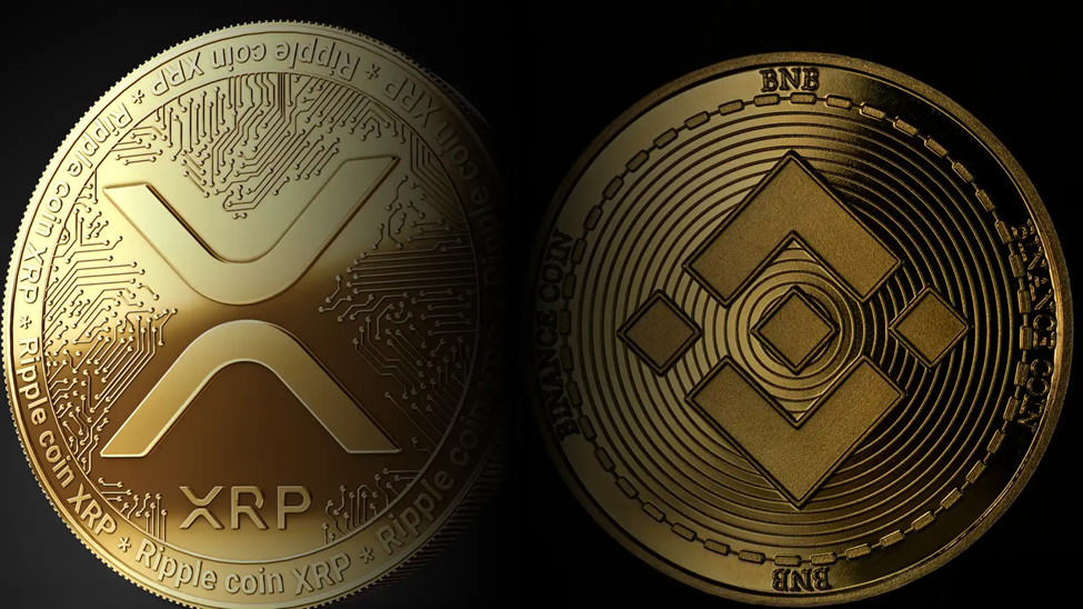 Presale grows and grows - Ripple (XRP) & BNB (BNB) holders continue the bull run in Pushd (PUSHD) presale as 2024 shows big rewards