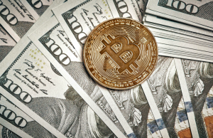 Bitcoin Cash (BCH) holders sell profits for DeeStream (DST) presale, while Dai (DAI) continues to achieve solid gains | Headlines | News | CoinMarketCap