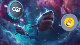 Solana (SOL) Holders See Green With New 500x Token Option2Trade (O2T)