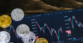 $500 Budget: 5 Best Crypto Coins to Buy this Bull Season