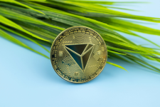 Pushd (PUSHD) Stage 6 Presale at $0.125 Captivates TRON (TRX) and Shiba Inu (SHIB) Investors, Aiming for 100X Success