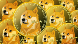 Is Raffle Coin (RAFF) the Next Big Thing? Dogecoin (DOGE) & Avalanche (AVAX) Communities Explore 50X Potential
