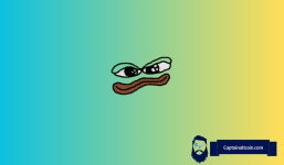 How Solana Holders Are Making Fortunes with the New Meme Coin $BOME