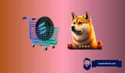 Best Solana Meme Coins to Buy Now; WIF, BONK and Others