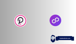 Polygon (MATIC) And Polkadot (DOT) Prices Surging: Here's Why