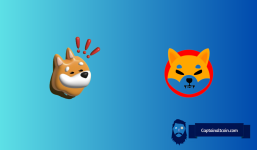BONK And Shiba Inu (SHIB) Prices Pumping: Here's Why