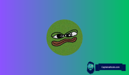 Why is BOOK OF MEME (BOME) Token Price Pumping?