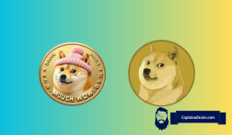 Meme Coin Frenzy: Here’s Why dogwifhat (WIF) and Dogecoin (DOGE) Could be Poised for Major Price Surges