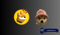 Why Analysts Forecast a Bright Future for Meme Coins Bonk and Dogwifhat (WIF)