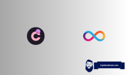 Internet Computer (ICP) And Chromia (CHR) Prices Pumping: Here's Why