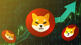 Shiba Inu Faces New Cryptocurrency Rival Priced $0.0018 Challenges SHIB 2021 Legacy