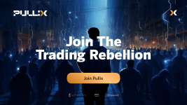 Pullix (PLX) Shows The Dog Tokens DOGE, SHIB and BONK How It's Done
