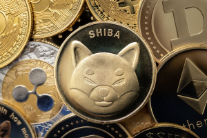 Could Shiba Inu See a Bullish Bounce?  Competition Heats Up with Render & InQubeta