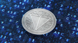 Unlocking DeeStream (DST) Advertising Potential: Toncoin (TON) and Shiba Inu (SHIB) Holders Eye Up 50X Gains