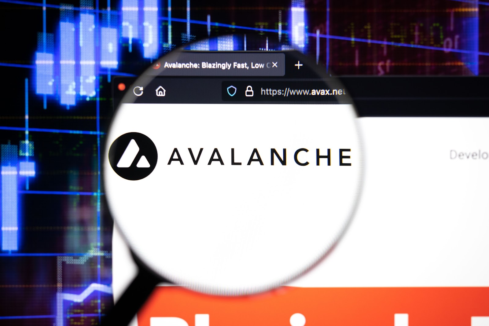 Avalanche and NuggetRush Price Surges With Bullish Prediction As Bonk Plunges
