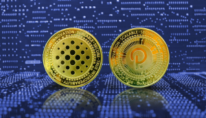 Pushd (PUSHD) Presale Sees Surge in Interest as 20X Possible Whilst Avalanche (AVAX) and Polkadot (DOT) Face Market Fluctuations | Headlines | News | CoinMarketCap