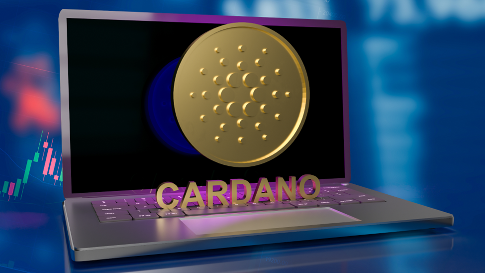 Cardano (ADA) and Polkadot (DOT) Prices Soar, Adding Fuel to Pushd (PUSHD) Stage 5 Presale Excitement