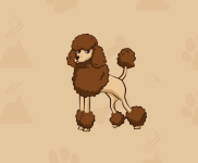 Watch Out For Poodl Inu (POODL), The Next Big Meme Coin In The Market