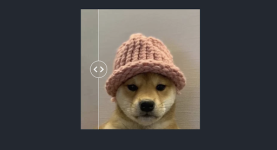 Which Meme Coin Will Rule the Chart in April? Top 3 Predictions Amid Dogwifhat Crash