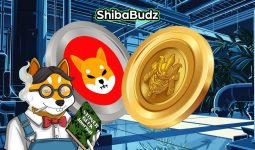 Shiba Inu (SHIB) and $RECQ Token Investors Eyeing Profitable Gains In New SHIB-Like Cryptocurrency