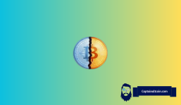 How to Maximize Bull Run Profits: Analyst’s 6 Key Strategies Ahead of 2024 Bitcoin (BTC) Halving