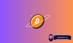 Analyst Reveals Top Projects in the Bitcoin (BTC) Ecosystem With Potential for 1000x Gains