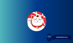 Trader Who Accurately Bet On BOME Just Bought This New Solana (SOL) Meme Coin, Up 30,000% Since Launch