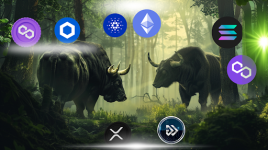 Experts hype the altcoin saga with Internet Computer (ICP), Polygon (MATIC), and Algotech (ALGT) developments