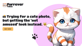 Cryptocurrency Frontier: Exploring the Influence of Binance Coin (BNB), Bitcoin Cash (BCH), and Furrever Token on Currency Dynamics