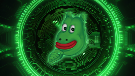 BEFE Coin or Shiba Inu: Deciphering the Best Coin for Investors