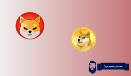 Meme Coin Watch: Dogecoin’s (DOGE) Bullish Momentum and Shiba Inu’s (SHIB) Potential Upswing
