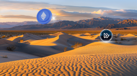 Solana Investors Brace for Massive Bullish Rally: Hedera Hashgraph and Algotech Lead Choppy Market