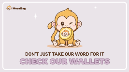 MoonBag Coin Eclipses Dogeverse and Floki Inu with its Stellar Presale Launch as it Crosses $200k