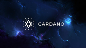 Explosive Pushd Stage 6 Sees Cardano & Solana Investors Converge for E-Commerce Transformation with 50X Rumours Circulating