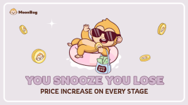 MoonBag, The Best Presale in 2024, Shatters Records with Over $700k Raised