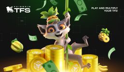 Summer Hot Airdrop: Get TFS Tokens for Free