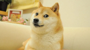 RIP Kabosu: Dogecoin’s Shiba Inu Mascot Dies Amidst Meme Coin Bull Run