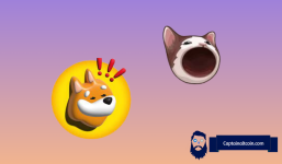 BONK and POPCAT Price Analysis: Meme Coin Charts Signal Potential Market Shift