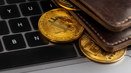 Discover the Best Crypto Coin Presales to Invest in Now: Insights Amid Landwolf’s Price Drop