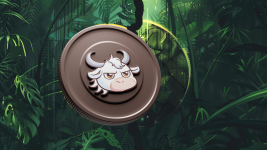 Crypto Analysts Are Bullish On This New Cryptocurrency During The 2024 Bull Run