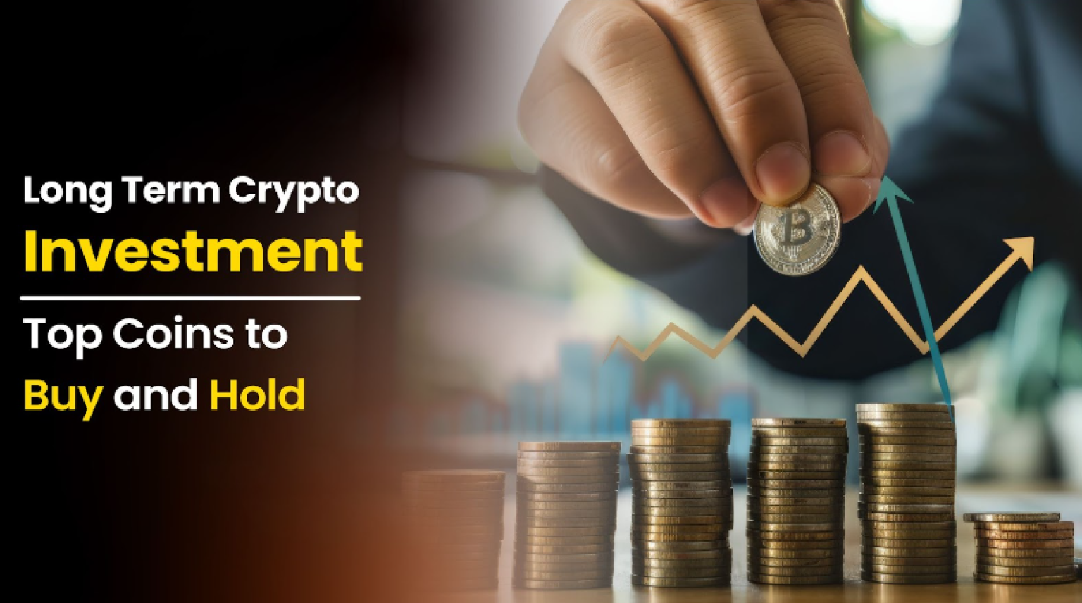 Long Term Crypto Investment: Top 8 Coins to Buy and Hold in 2024 ...