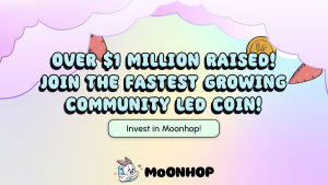 MOONHOP Presale Rockets Investors to 50x ROI Riches, with PEPE and SHIB Heating Up the Charts 