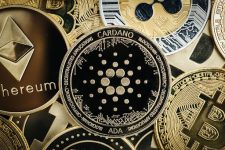 Cardano Completes Chang Hard Fork : Galaxy P2E is Taking Off