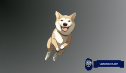 Binance Announces Listings of 3 Meme Coins – $NEIRO, $TURBO, and $BABYDOGE