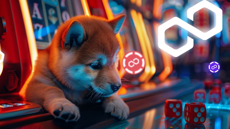 Analysts Convinced of Dogecoin To A Dollar but Not Before Polygon and Rollblock