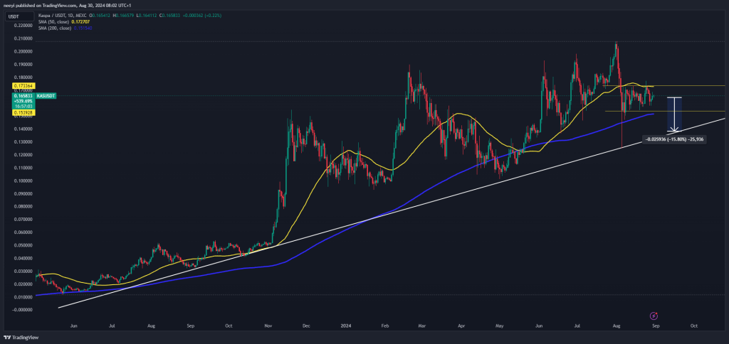 “Key Metric Behind 80% Kaspa Price Surge Resurfaces, But KAS May Face a Dip First”