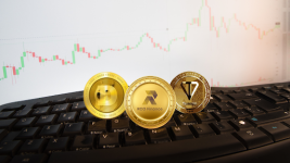 Dogecoin (DOGE) and Toncoin (TON) Fight Off the Bears as RCO Finance (RCOF) See More Inflows