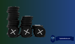 Expert Predicts the Biggest Blow-Off Rally Yet for XRP Price