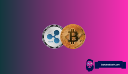 Is XRP Against Bitcoin Set For Rally? Expert Reveals Key XRP Price Levels To Watch
